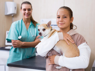 Teen Girl Led Dog For Examination