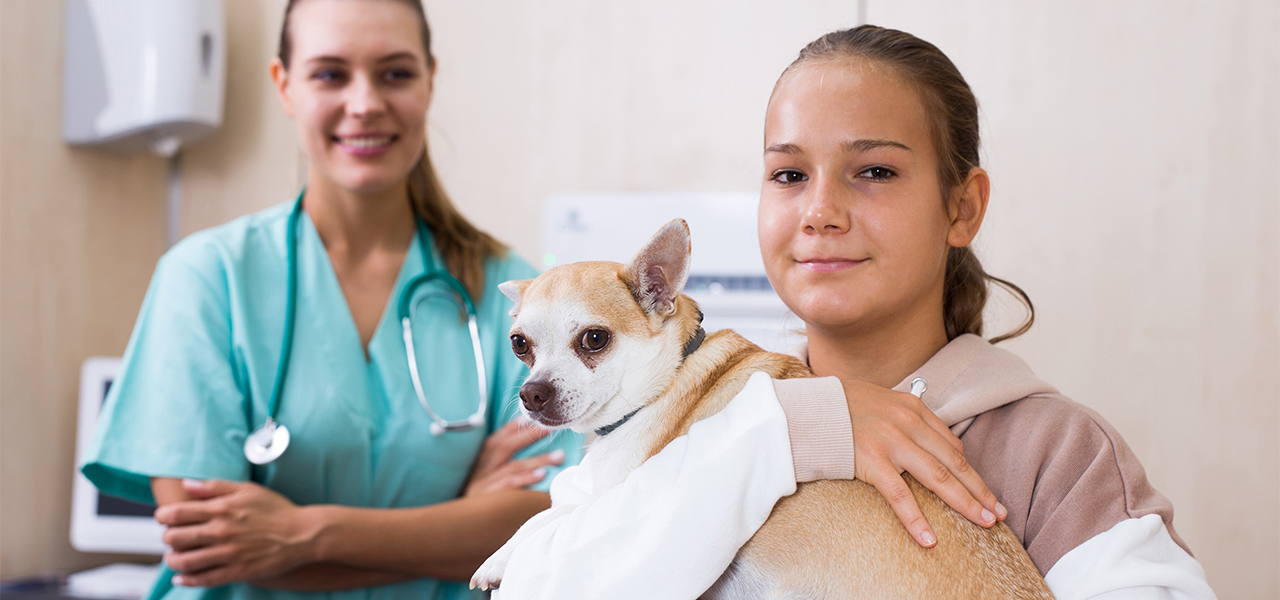 Teen girl helps a veterinary as a volunteer by holding a dog